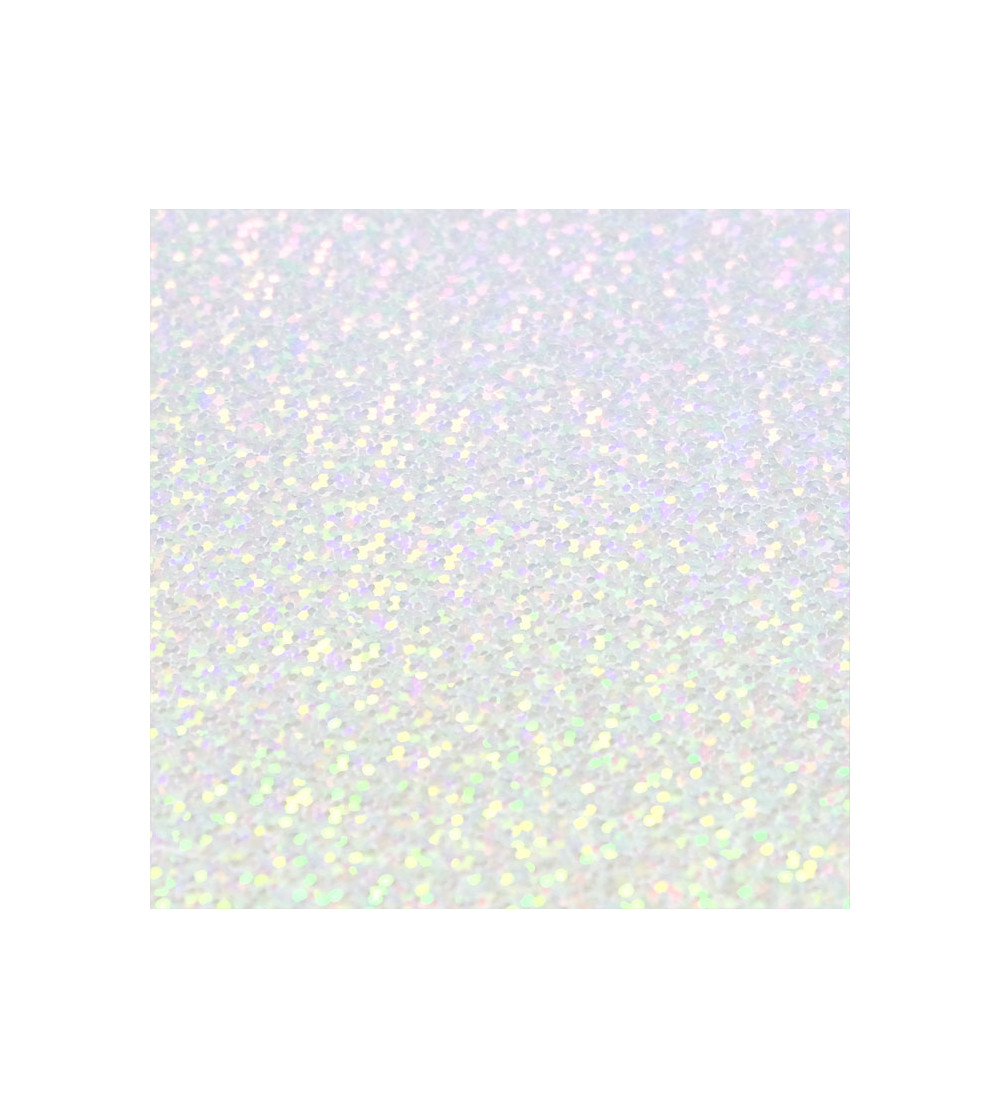 H0021SILVER.jpg