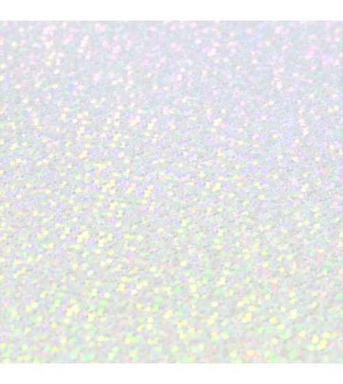 H0021SILVER.jpg