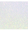 H0021SILVER.jpg